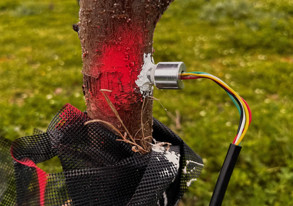 FloraPulse - microtensiomètre connecté - photo 2